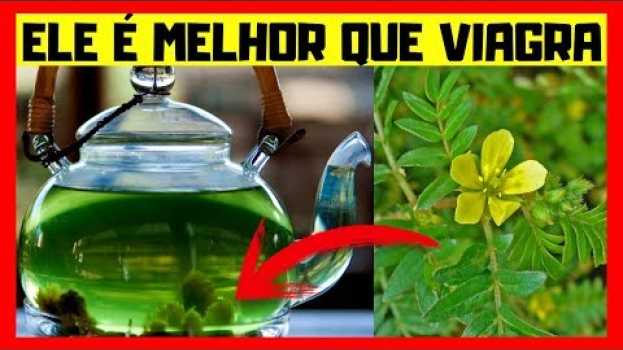 Video ESSE REMÉDIO NATURAL É Melhor Que Viagra, Acabe Agora Com a Impotência Masculina em português