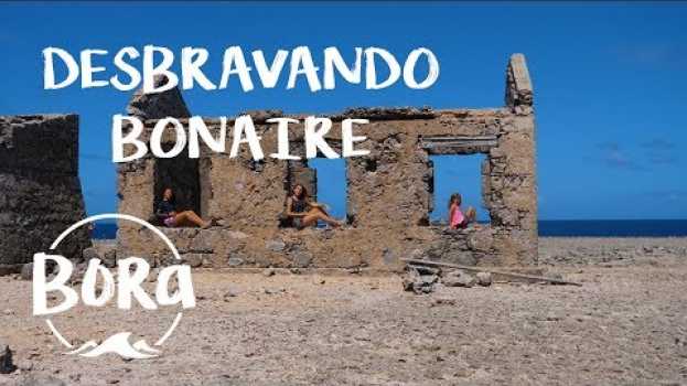 Video BORA #80 -  TOUR PELA ILHA! Tudo que tem em Bonaire (English/Spanish CC) po polsku
