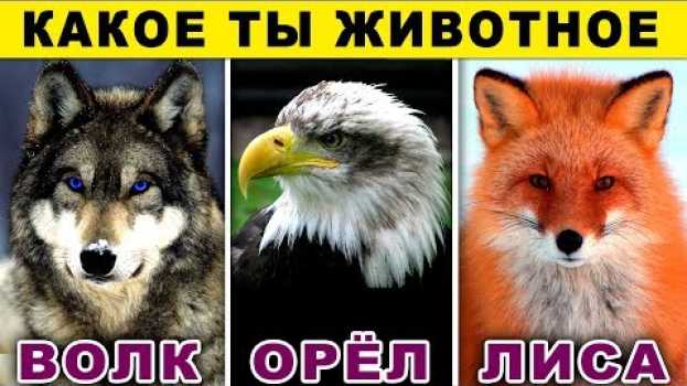Video КАКОЕ ТЫ ЖИВОТНОЕ ПО ЗНАКУ ЗОДИАКА ДРЕВНИХ КЕЛЬТОВ   türkçe