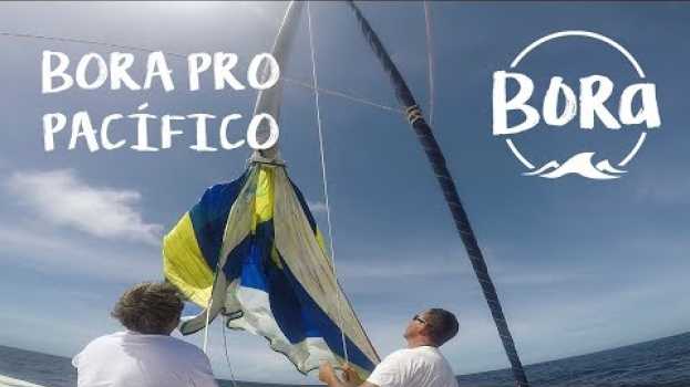 Video BORA #70 - COMO VELEJAR SEM VENTO? Pelo menos pegamos um peixe! (English/Spanish CC) in English