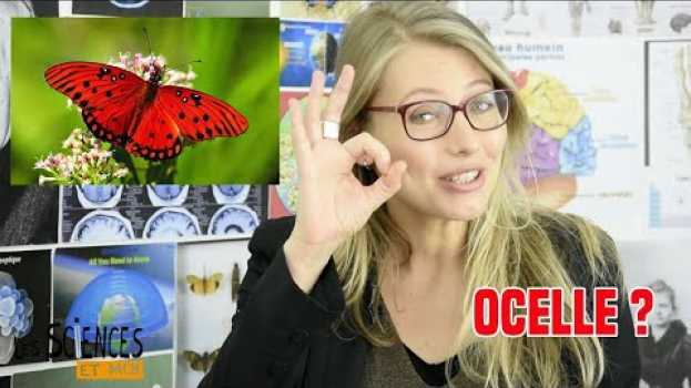 Video Ocelle: la définition dans "Les Sciences et moi"   türkçe