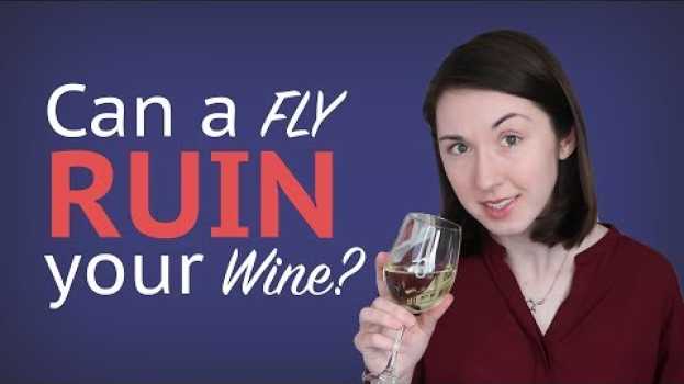 Видео There's a Fly in my Wine! на русском