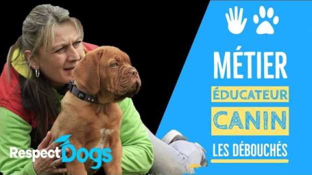 Video QUELS DEBOUCHES POUR LE METIER D'EDUCATEUR CANIN auf Deutsch