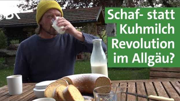 Видео Innovative Landwirtschaft im Allgäu - Milch und preisgekrönter Käse vom Schaf | Unser Land | BR на русском