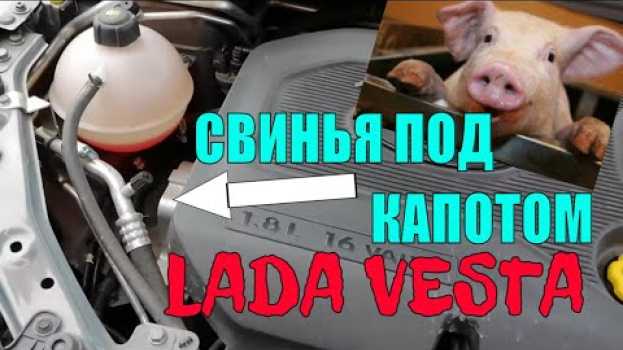 Video Свинья под капотом Лада Веста скрип подушки auf Deutsch