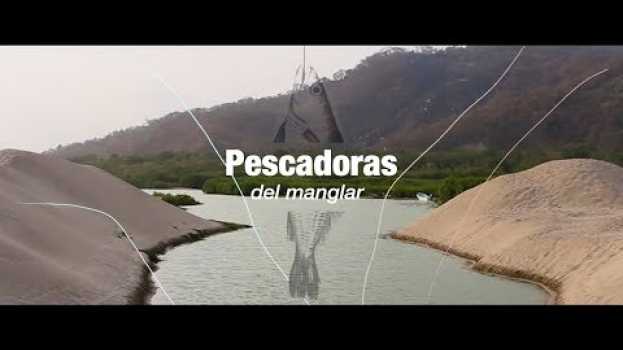 Video Pescadoras del manglar: ya no hay nada por pescar auf Deutsch