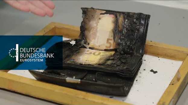 Video Bundesbank rettet verbrannte Scheine in English