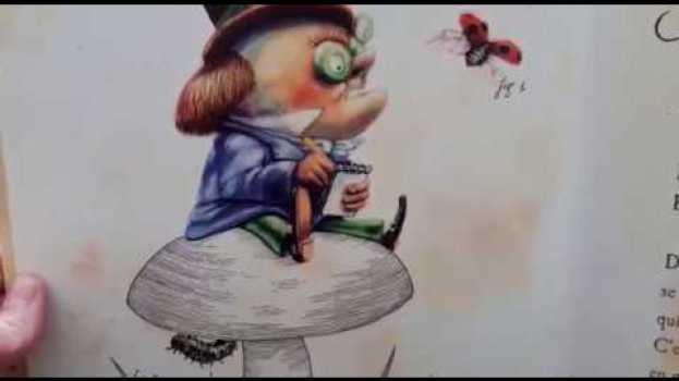 Video Les Petites Lectures Filmées : "Comme une soudaine envie de voler" de Thierry Dedieu en español