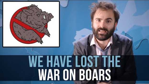Video We Have Lost The War On Boars - SOME MORE NEWS em português