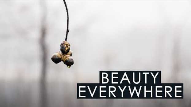 Видео There's beauty everywhere на русском