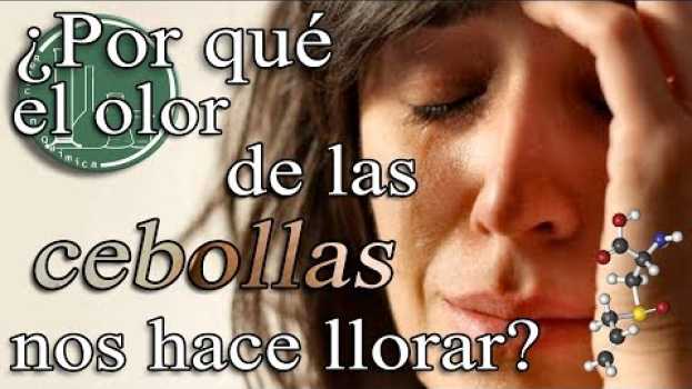 Video REACCIÓN QUÍMICA #06.- ¿Por qué el olor de las cebollas nos hace llorar? su italiano