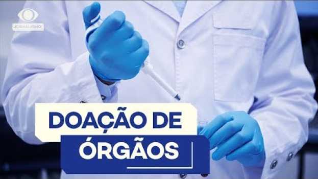 Video Como funciona o processo de doação de órgãos no Brasil   türkçe