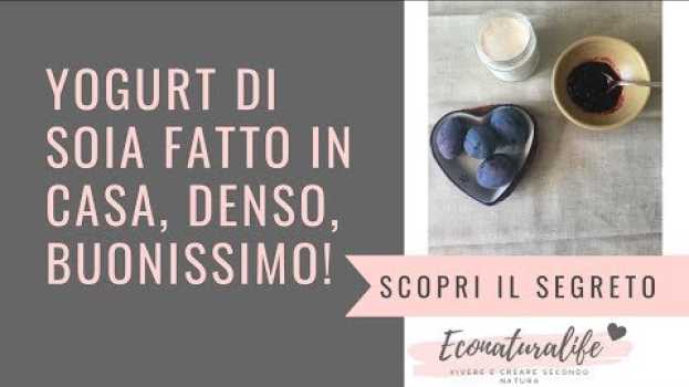 Video Yogurt di soia fatto in casa DENSO! em português