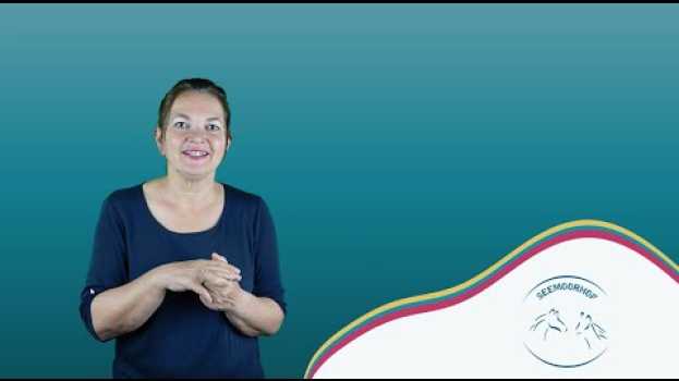 Video Wir bekommen einen neuen Hund - mit der Trust Technique® ganz einfach en español