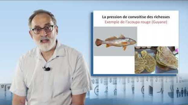 Video Biodiversité en Outre-mer : des pressions en tropiques su italiano