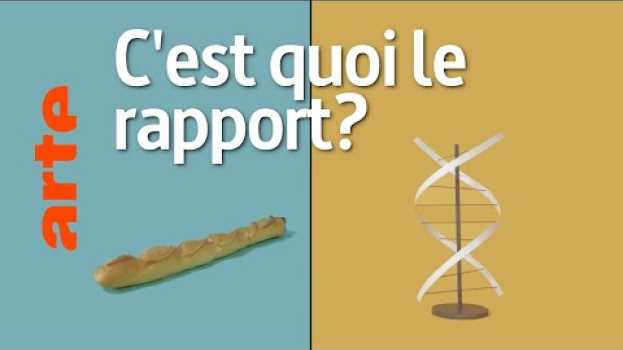 Video Une baguette et le séquençage du génome, c'est quoi le rapport ? | Reconnexion | ARTE en español