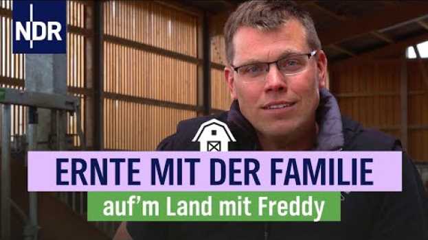 Video Landwirtschaft aus Leidenschaft in Hamburg | Folge 1 | NDR auf'm Land su italiano