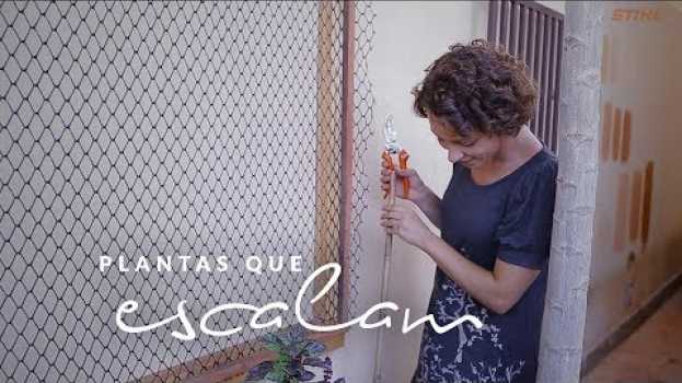 Video Jardim das Ideias #25: Plantas que escalam su italiano