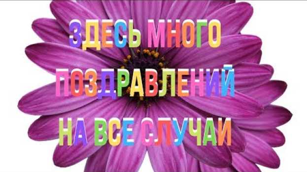 Video Поздравления в стихах. Поздравления на все случаи. Поздравительные стихи. Поздравуха em português