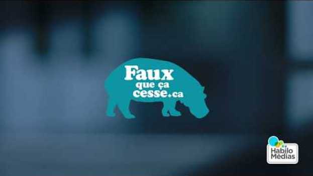 Video Les hippos des familles sont de retour parce qu'il FAUX que ça cesse en español