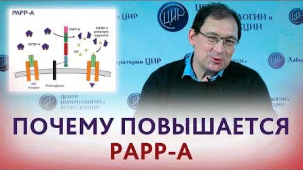 Video Повышен PAPP-A. Что значит, если повышен ПАПП-А? Отвечает Гузов И.И. en français