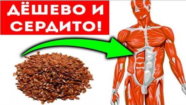 Video ВОЛШЕБНЫЕ СЕМЕНА для здоровья и долголетия человека, если их добавить в...   türkçe