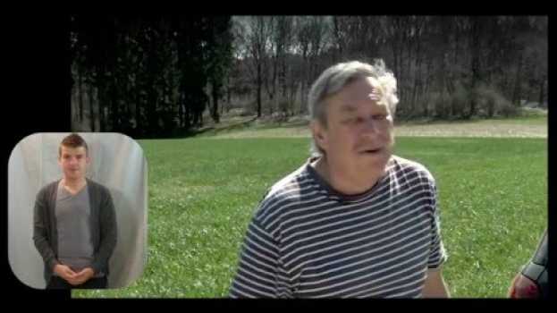 Video Was tun bei Blitz und Donner? po polsku