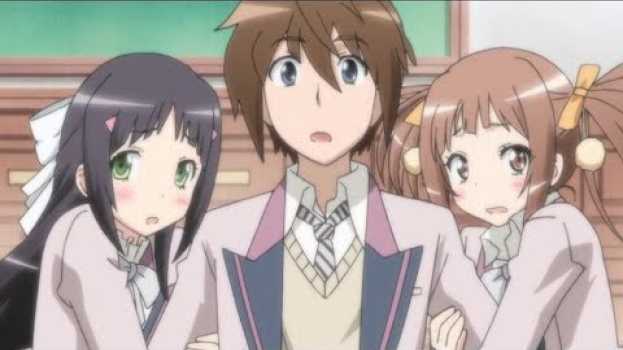 Video Animes donde Varias Chicas se Enamoran del Protagonista - Top 10   türkçe