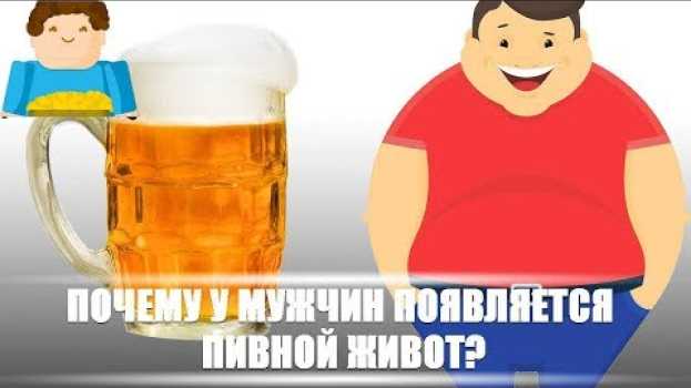 Video Почему у мужчин появляется пивной живот?  [Plushkin] su italiano