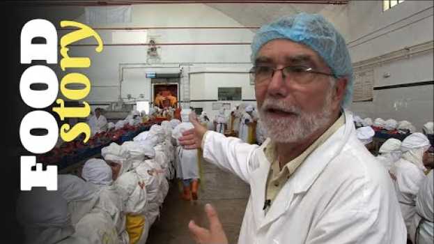 Video Pour produire moins cher, il installe son usine de sardines au Maroc   türkçe