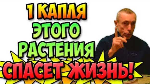 Video 1 КАПЛЯ ЭТОГО РАСТЕНИЯ СПАСЕТ ЖИЗНЬ!  Виталий Островский. Похудеть, слабость, артрит. su italiano