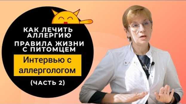 Video Аллергия На Кошку? Есть Решение! | Советы При АЛЛЕРГИИ po polsku