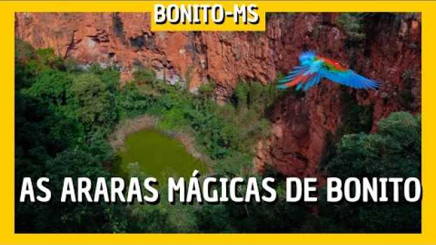 Video O QUE FAZER EM BONITO MS: BURACO DAS ARARAS ( veja o que descobri em Bonito MS ) *Eldo Gomes* in English