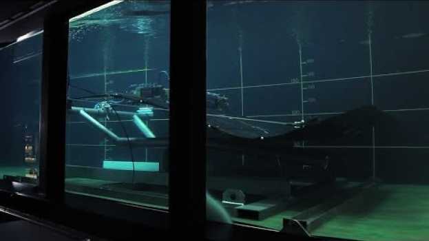 Video Comme un poisson dans l'eau | Nature = Futur ! auf Deutsch