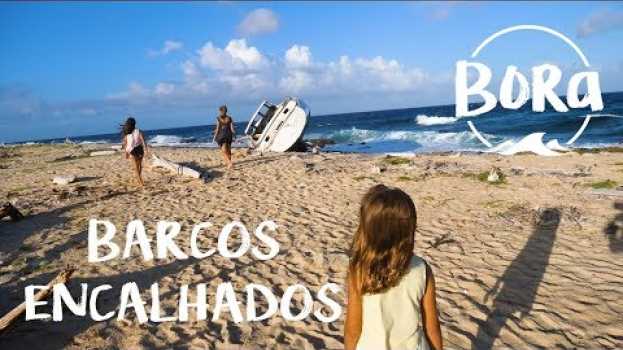 Video BORA #88 - COMO ESSES BARCOS VIERAM PARAR AQUI? Os segredos de Little Curaçao (English/Spanish CC) en français