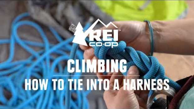 Video How to Tie Into a Climbing Harness (With a Figure 8 Knot) || REI en español