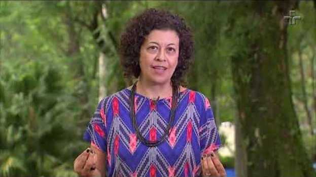 Video Aumento da temperatura da Terra ameaça qualidade de vida do ser humano po polsku