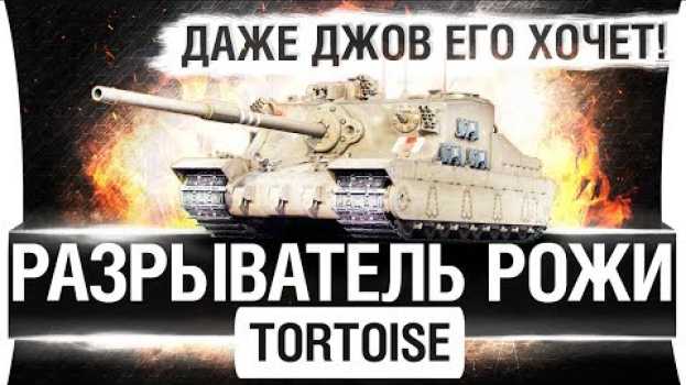 Video РАЗРЫВАТЕЛЬ РОЖИ - TORTOISE - Даже ДЖОВ его хочет! su italiano