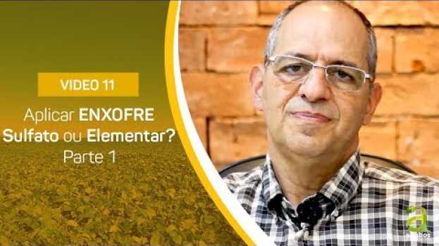Video #11 - Aplicar ENXOFRE Sulfato ou Elementar? Parte 1 po polsku