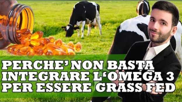 Video Perchè non basta integrare l'omega 3 per definire una carne Grass Fed en español