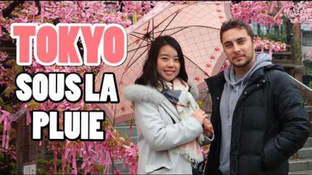 Video Que faire à Tokyo sous la pluie ? po polsku