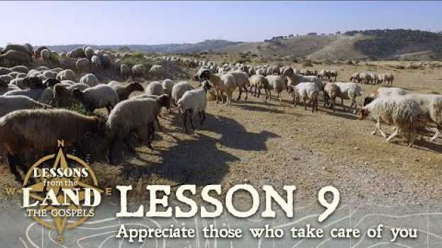 Video Appreciate Those who Take Care of You: Sheep and their Shepherd su italiano