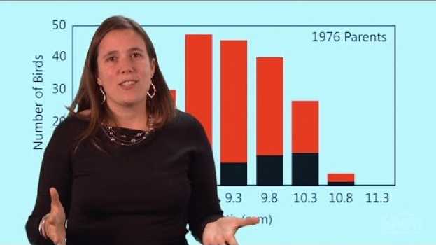 Video HHMI Educator Tips | The Beak of the Finch   türkçe