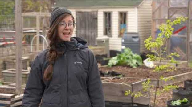 Video Comment préparer son potager pour l'été ? - L'épicerie   türkçe