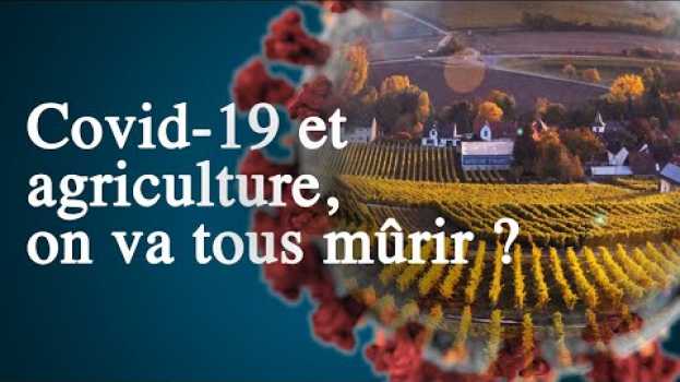 Video Covid-19, une opportunité pour une alimentation résiliente ? em português