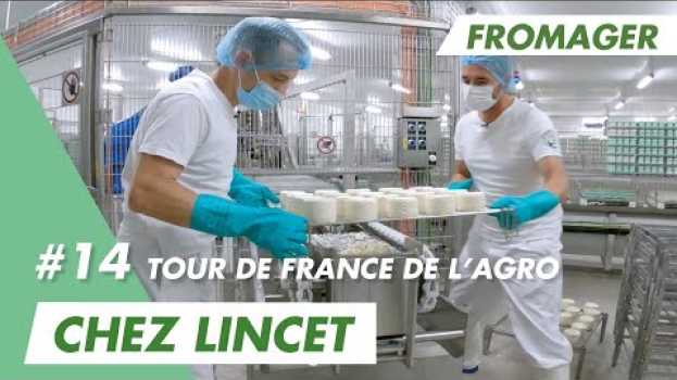 Video Viens fabriquer le fameux Chaource avec Ludovic, fromager chez Lincet ! em português