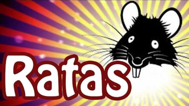 Video Ratas - Sabías que... en français