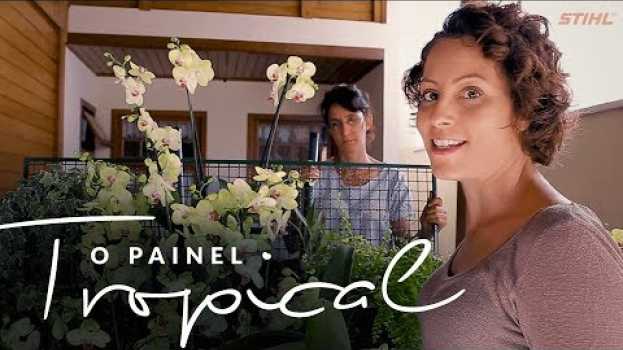 Video Jardim das Ideias #31: O painel tropical   türkçe