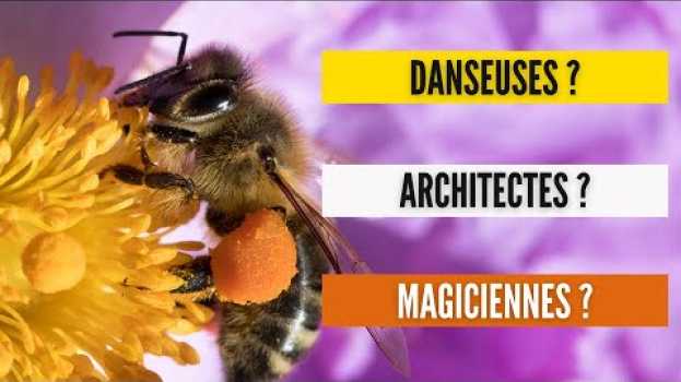 Video La vie SECRÈTE des ABEILLES su italiano
