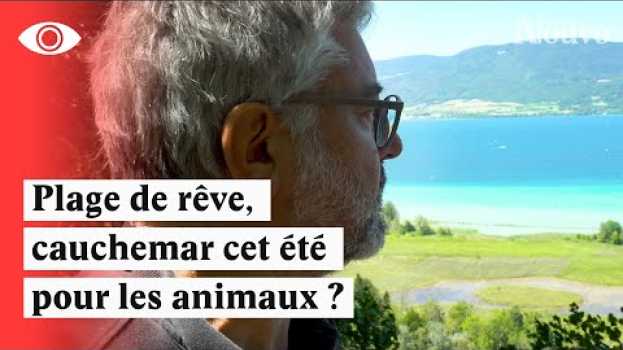 Video Les réserves naturelles souffrent cet été auf Deutsch